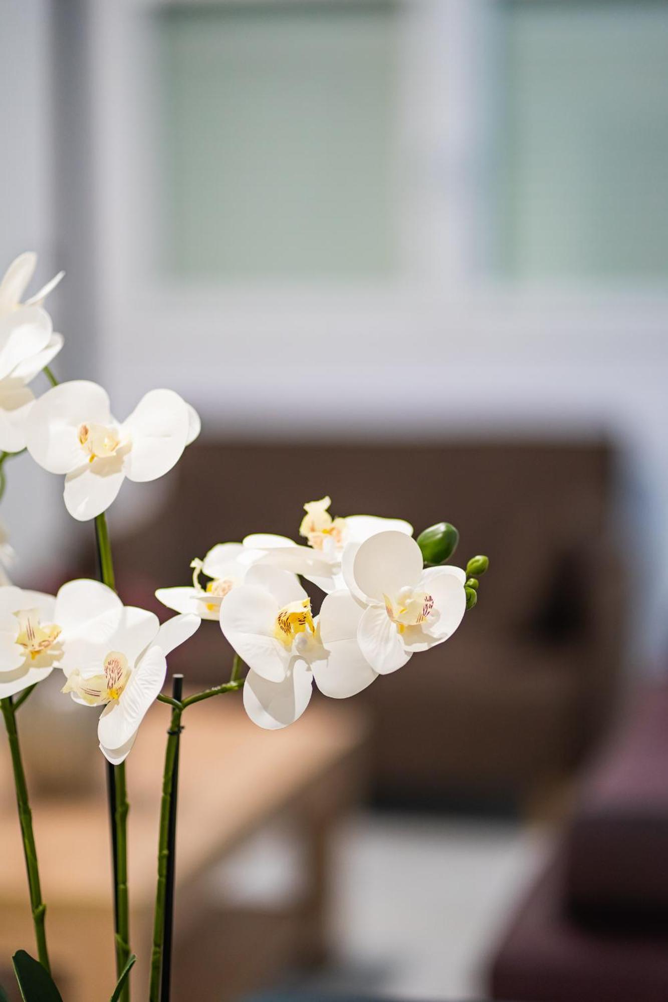 Feel Greek Hospitality #Θ005 Apartment Солун Екстериор снимка
