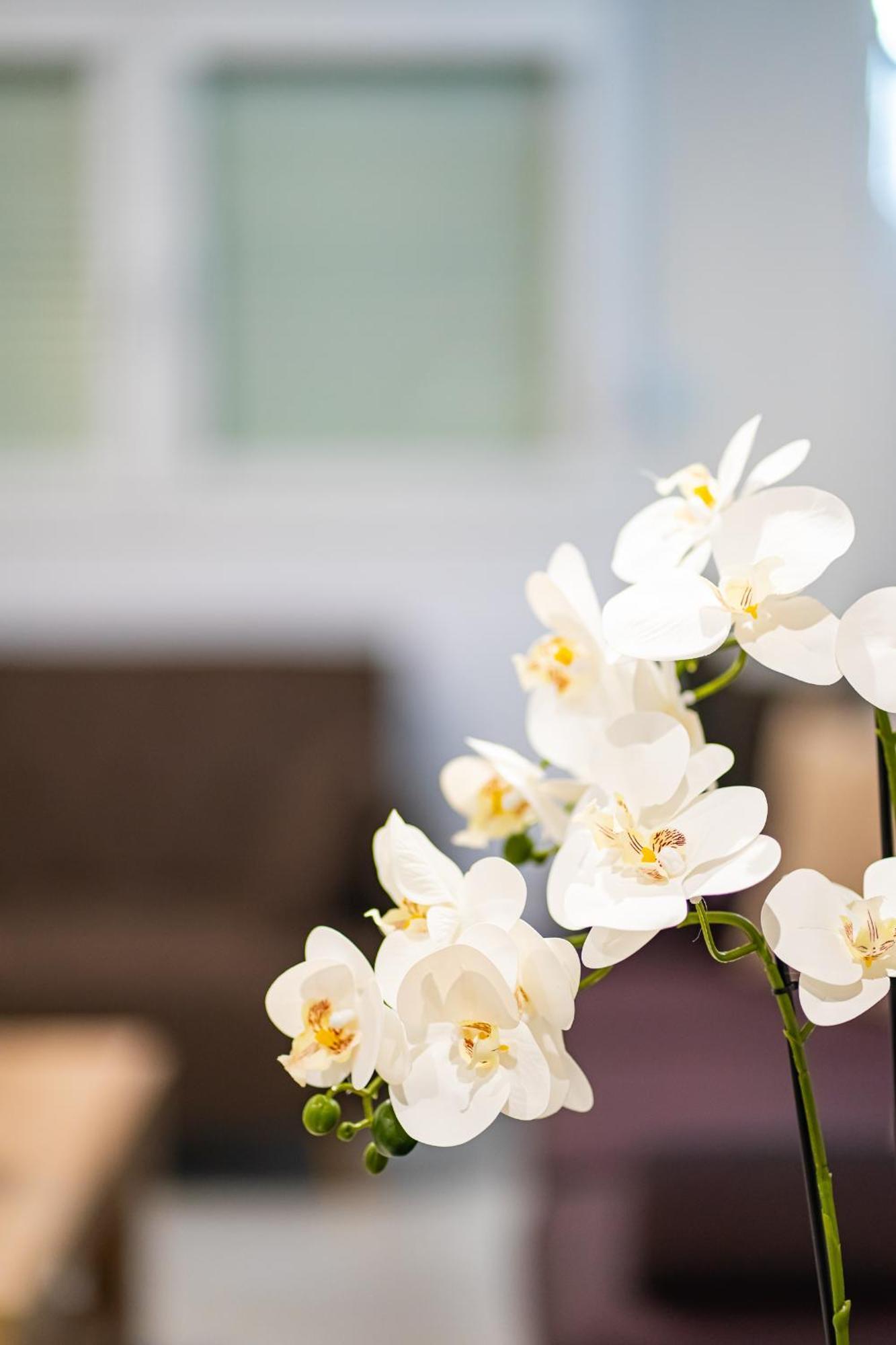 Feel Greek Hospitality #Θ005 Apartment Солун Екстериор снимка